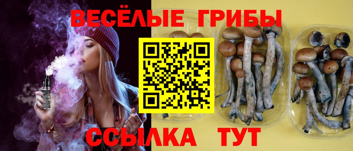 Ухта  Псилоцибиновые грибы MAGIC MUSHROOMS  Вход с VPN 